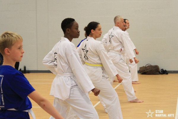 star-martial-arts-taekwondo-training-mixed-001