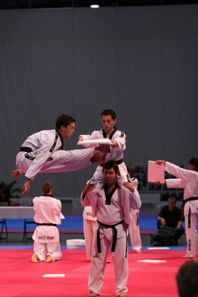 star-martial-arts-taekwondo-euros-2012-06