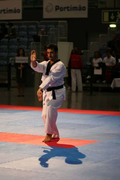 star-martial-arts-taekwondo-euros-2012-07